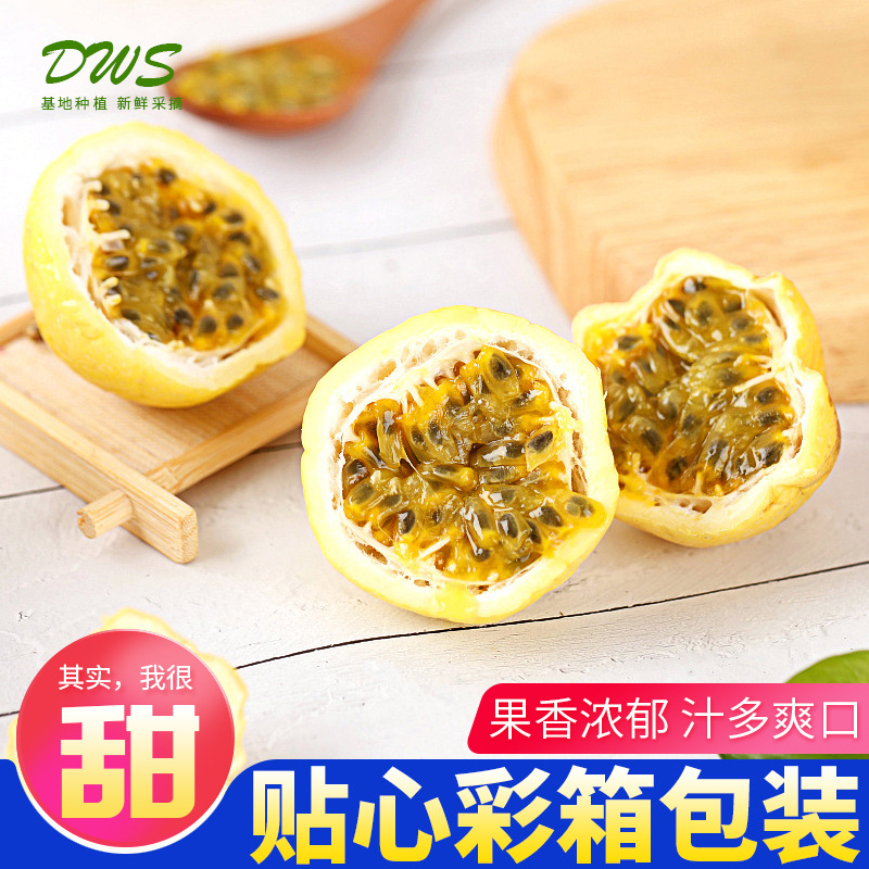 黄金百香果3斤5斤漳州产地台湾百香果 现摘鸡蛋果一件代批发|ms