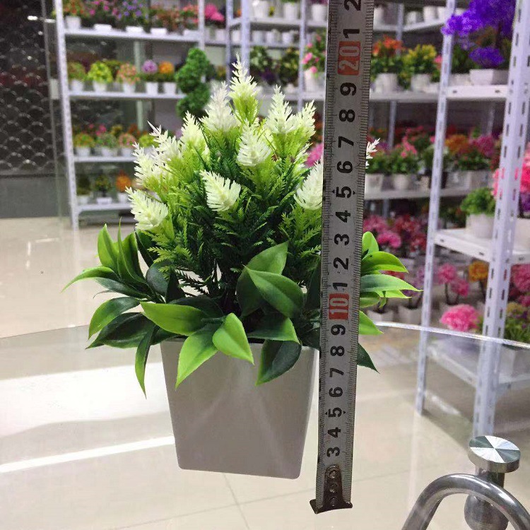 微信图片_20190302215541