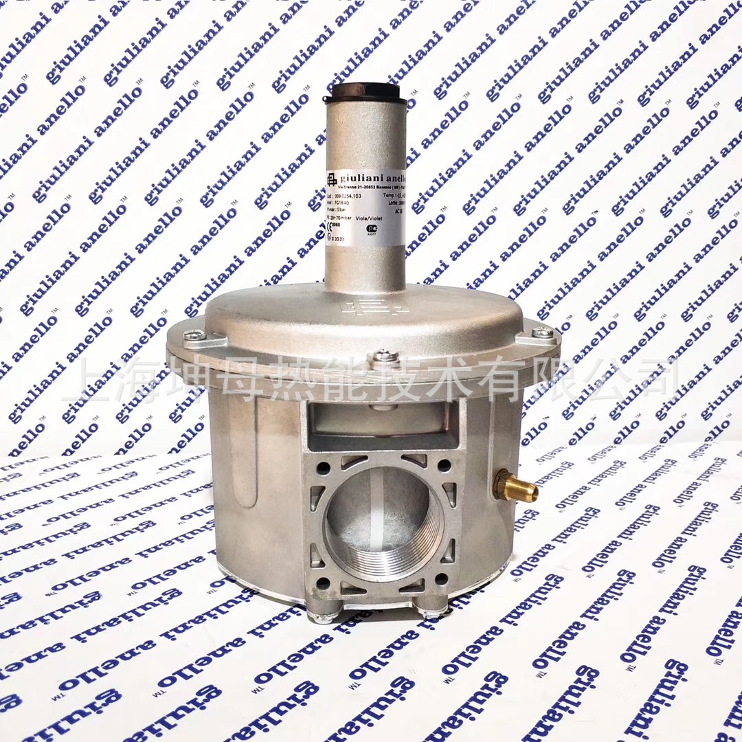 朱利安尼70660F /CE DN150燃气过滤器(意大利)