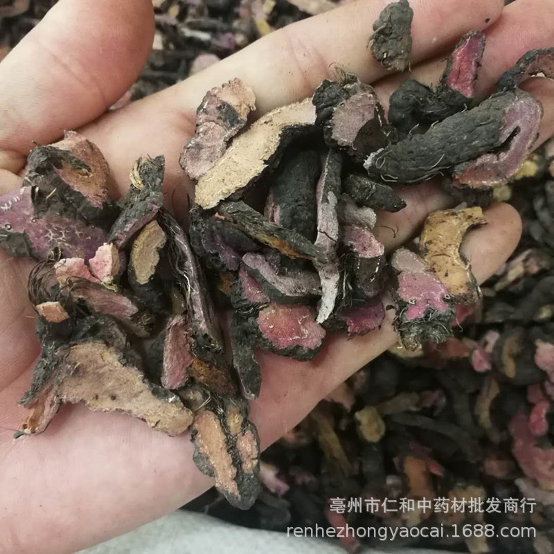 Bistorta Root Quan Shen 拳参 Dried Chinese Herbal Slices for Decoction and Culinary Use 500g overview