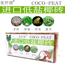 �����xҬ�uҬ���u���⻨�ܠI�B������Ҭ���u650g�o���m�������|��