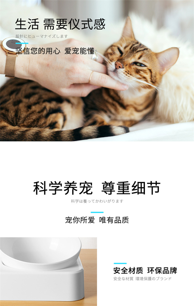 12672092550_1476999643