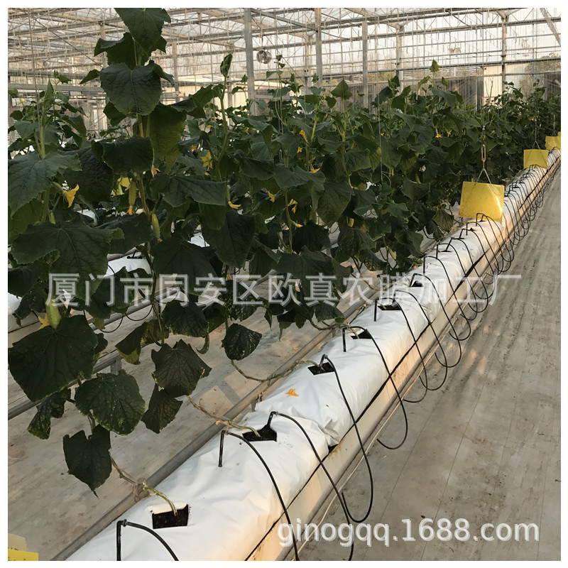 卧式无土栽培基质种植条外白内黑栽培条辣椒黄瓜椰糠条耐用抗老化