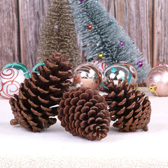 Large Pinecone Christmas DIY Decorative Supplies Photography Prop Christmas Tree Decorative NATURAL Pinecone