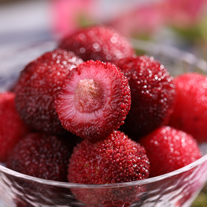 Freezing Bayberry 3 pounds Shunfeng summer Assuage thirst the elderly woman children Paojiu Bayberry fruit