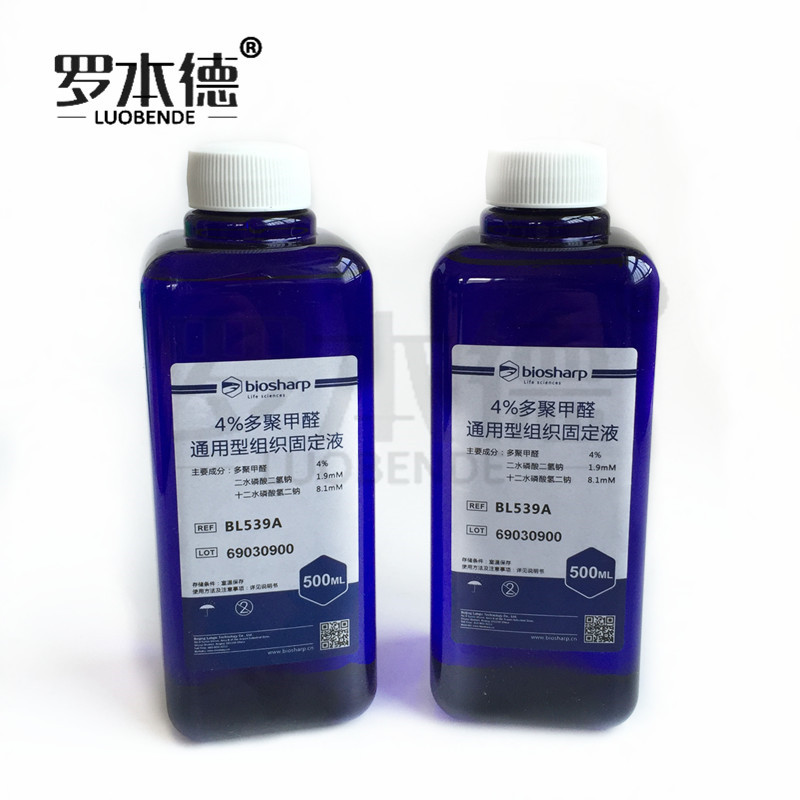 4%多聚甲醛/通用型组织固定液 BL539A 500ml Biosharp
