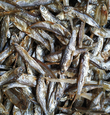 淡水无盐鱼干宠物饲料水族饲料鱼粮龟粮乌龟饲料猫咪粮食仓鼠粮