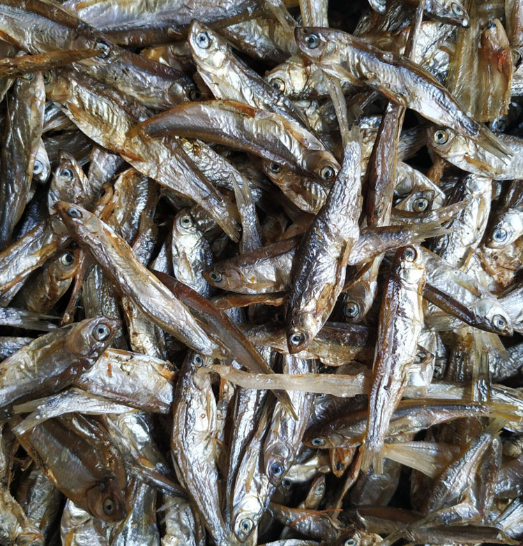 淡水无盐鱼干宠物饲料水族饲料鱼粮龟粮乌龟饲料猫咪粮食仓鼠粮