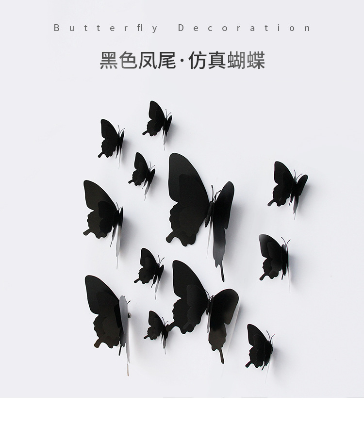 12只装黑色蝴蝶