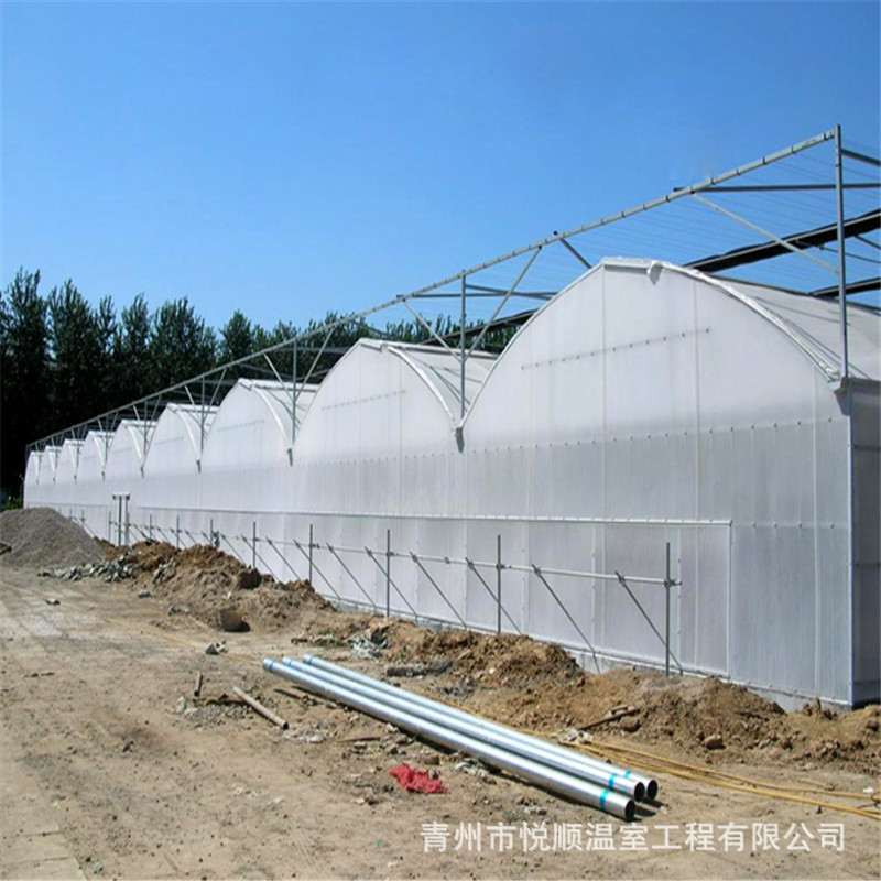 厂家制作 薄膜连栋温室大棚 日光温室 生态环保薄膜温室大棚