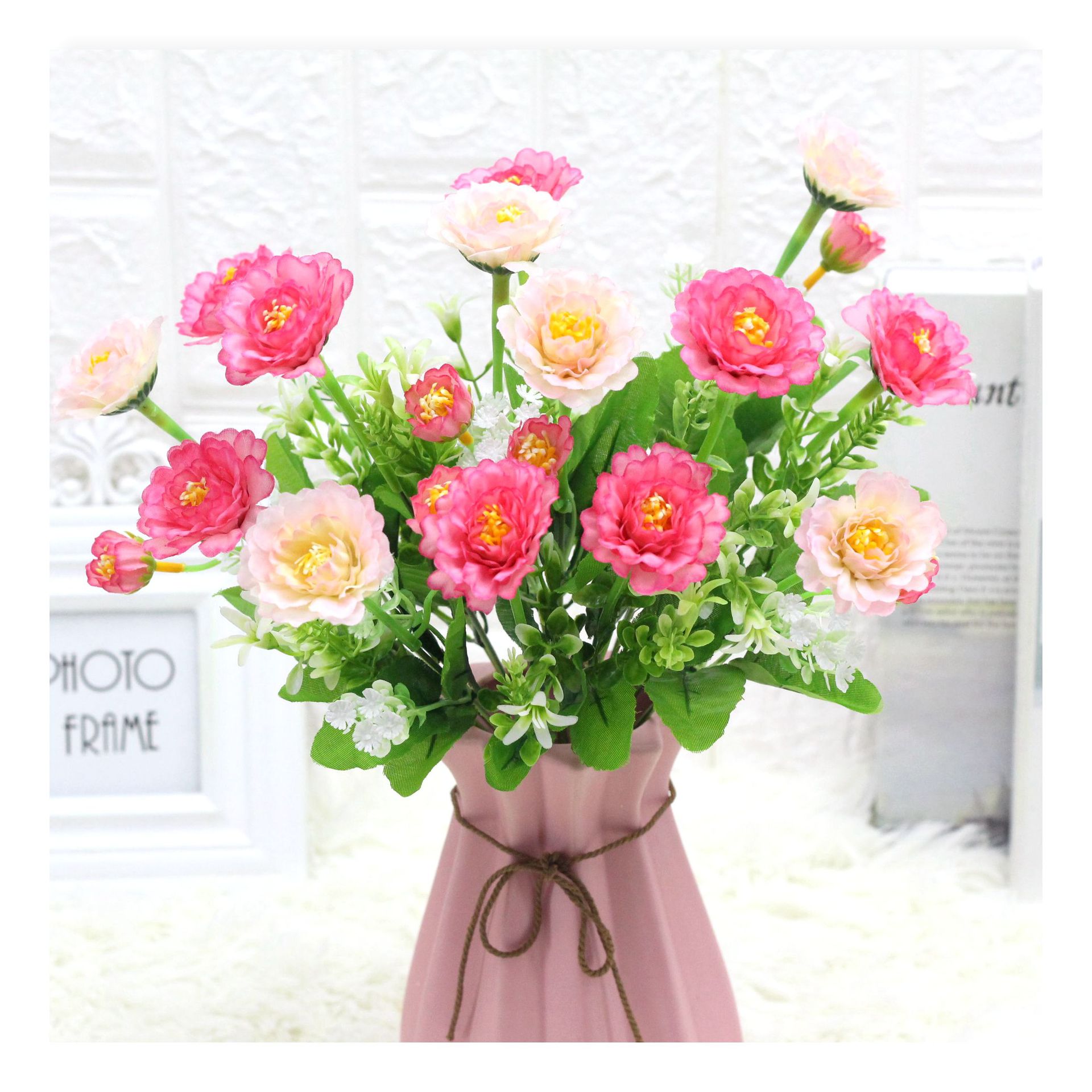 IMG_0423_副本_副本