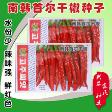 �����N�� �̨�ˈ@�N���r���ø���ˮ���ټt������ �߲˷N��