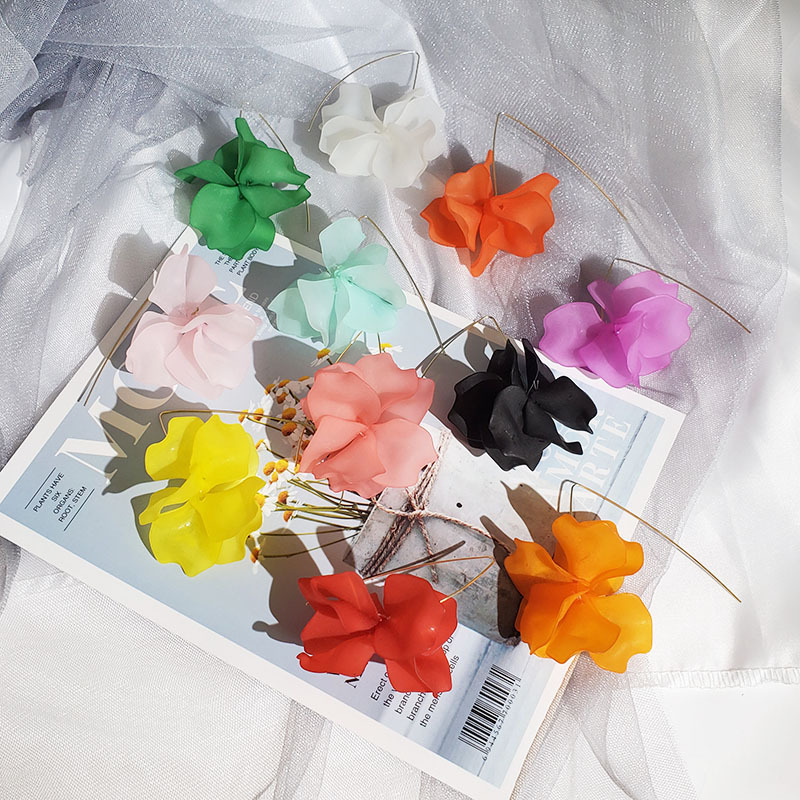 Earrings Classification Fashion Flower Plastic Women's Earrings 1 Pair