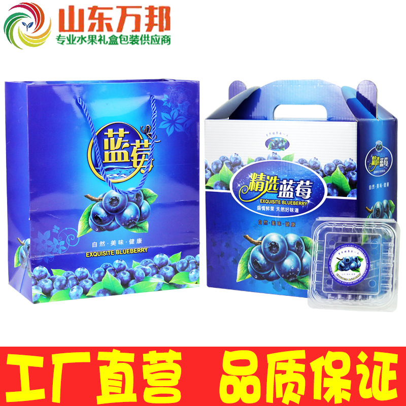 2斤蓝莓礼盒包装盒通用水果手提袋纸箱包装箱子4物品定制树草塑料