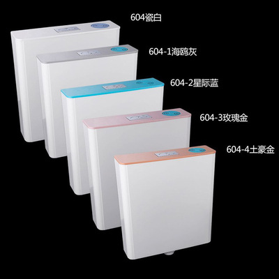 天王卫浴 家用卫生间蹲便器冲水箱 双按静音 马桶水箱 厂家批发|ms