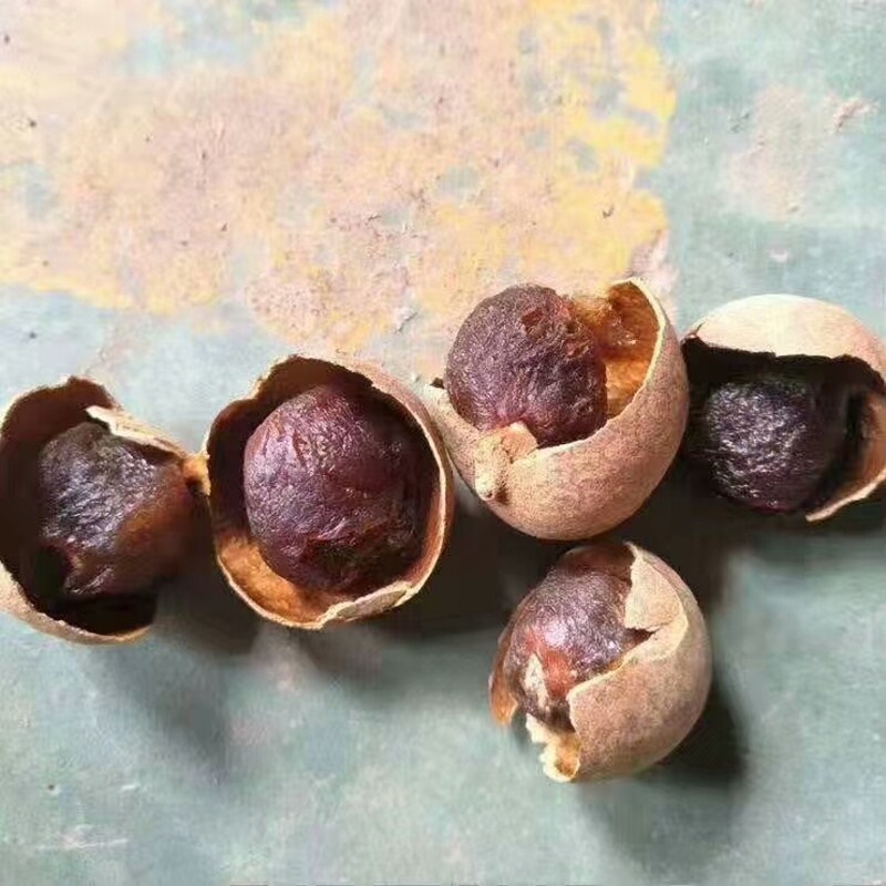 QQ图片20191116082944