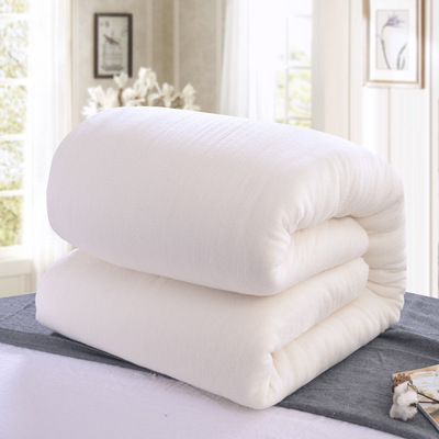 纯棉花被芯加厚冬棉被保暖棉絮床褥子垫盖两用被胎秋冬被子批发