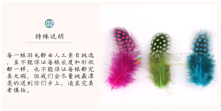 Yuxiang pearl feather_03