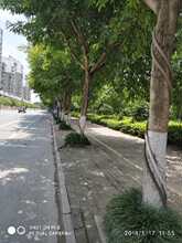 ���ʏS��ֱ�N����40mm�l���z���Դ���|��������ٹ� ����