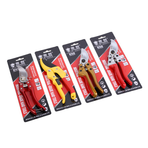 Supply Dichuang multi-specification fruit branch shears, gardening branch garden shears, pruning shears Linyi garden shears tools