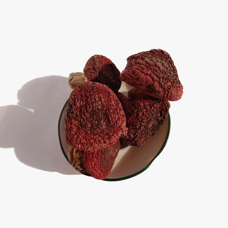 Fujian specialty Blue series Russula  Small mushroom Wild red mushroom Hand Source of goods Farm bulk wholesale