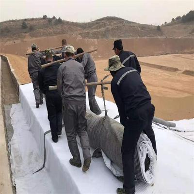 4800g gcl Bentonite Seepage Liner natural environmental protection Leak proof GCL Liner 2019 Preferential price