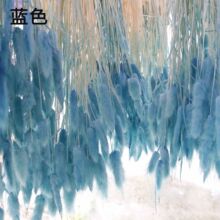 �S�����l��ɫ��β�ݼҾ��b�ë���׹�β�Ͳ��������ɻ��~�}�ɻ�