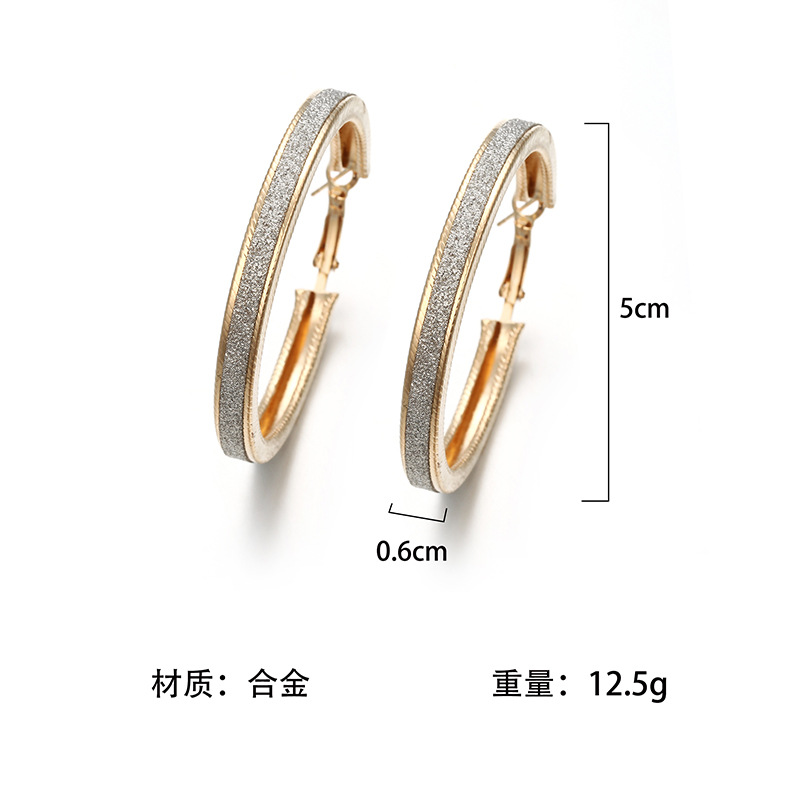 Fashion Geometric Plating Alloy No Inlaid Earrings display picture 1