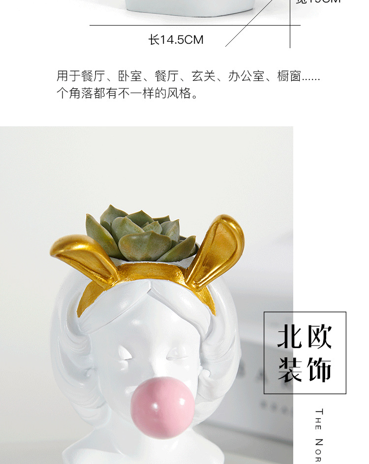 多肉吹泡泡齐全_04