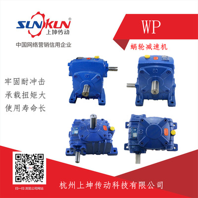 Manufactor Special Offer Worm gear WPA/S/X40-250 Gear ratio 10/20/30/40 50 60 Iron