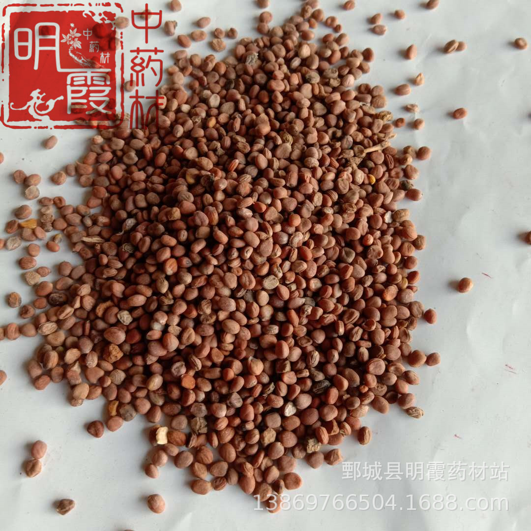 明霞药材【莱菔子】产地供应批发中药材