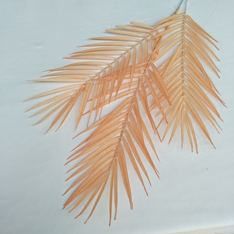 Light orange