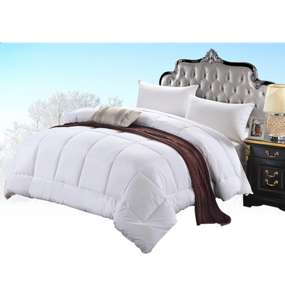 酒店棉被芯 宾馆纯棉春秋四季被芯 酒店民宿棉被芯 双人加厚定制