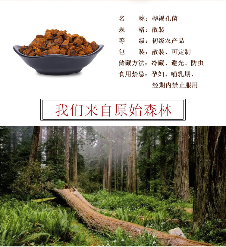 Chaga Mushroom Granules Hua Shu Rong Inonotus obliquus Ready to Eat Herbal Chunks for Daily Wellness preparation