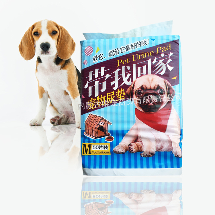 狗狗尿垫宠物尿片一次性尿垫猫尿布泰迪尿不湿吸水垫除臭