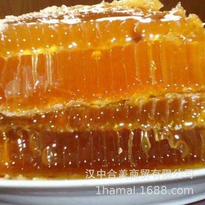 wholesale Qinling Nanshan Wildflower honey Hill nectar Farmer Autotrophic Soil honey Center Honey 500g