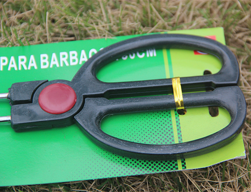 3334715487_166068245