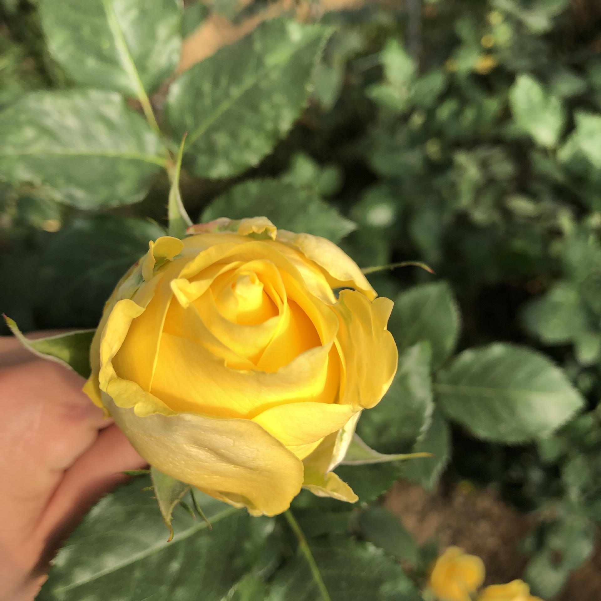 bd03889dc1dfcd117e058776aa98ba