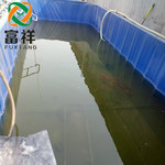 折叠拆卸鱼池  PVC材料软体塑料养鱼池支架水箱 可拆卸移动水池