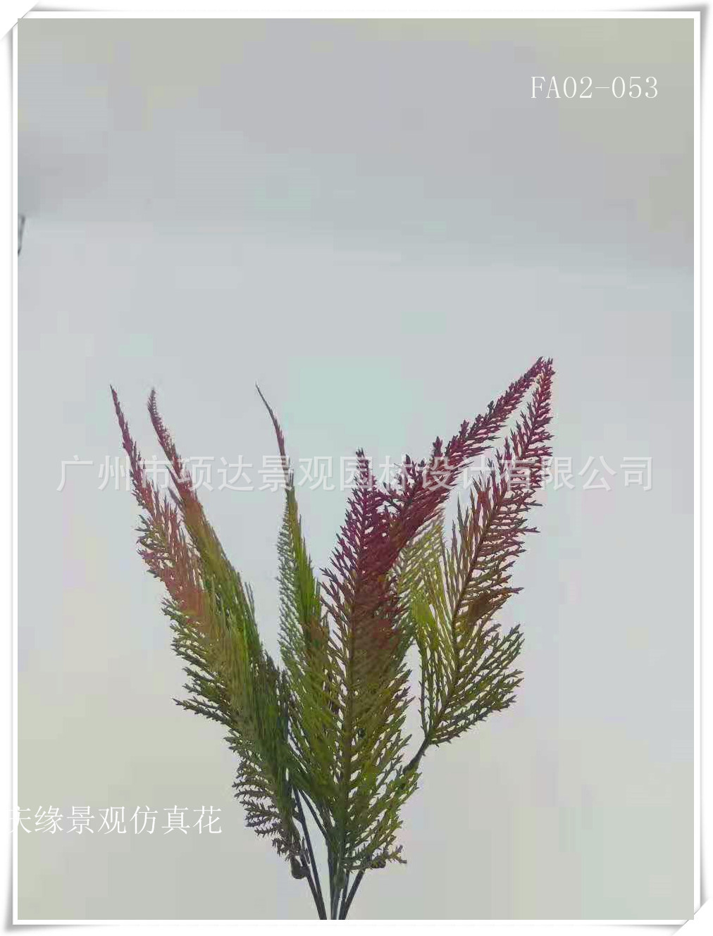 仿真红蕨叶草类植物秋蕨叶蕨草热带植物绿草塑料草绿叶红边假草 阿里巴巴