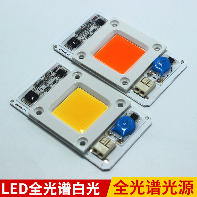 50w线性高压免驱动光源50w Led全光谱白光全光谱光源 价格 厂家 哪里买 我有货 B 5yoho Cn