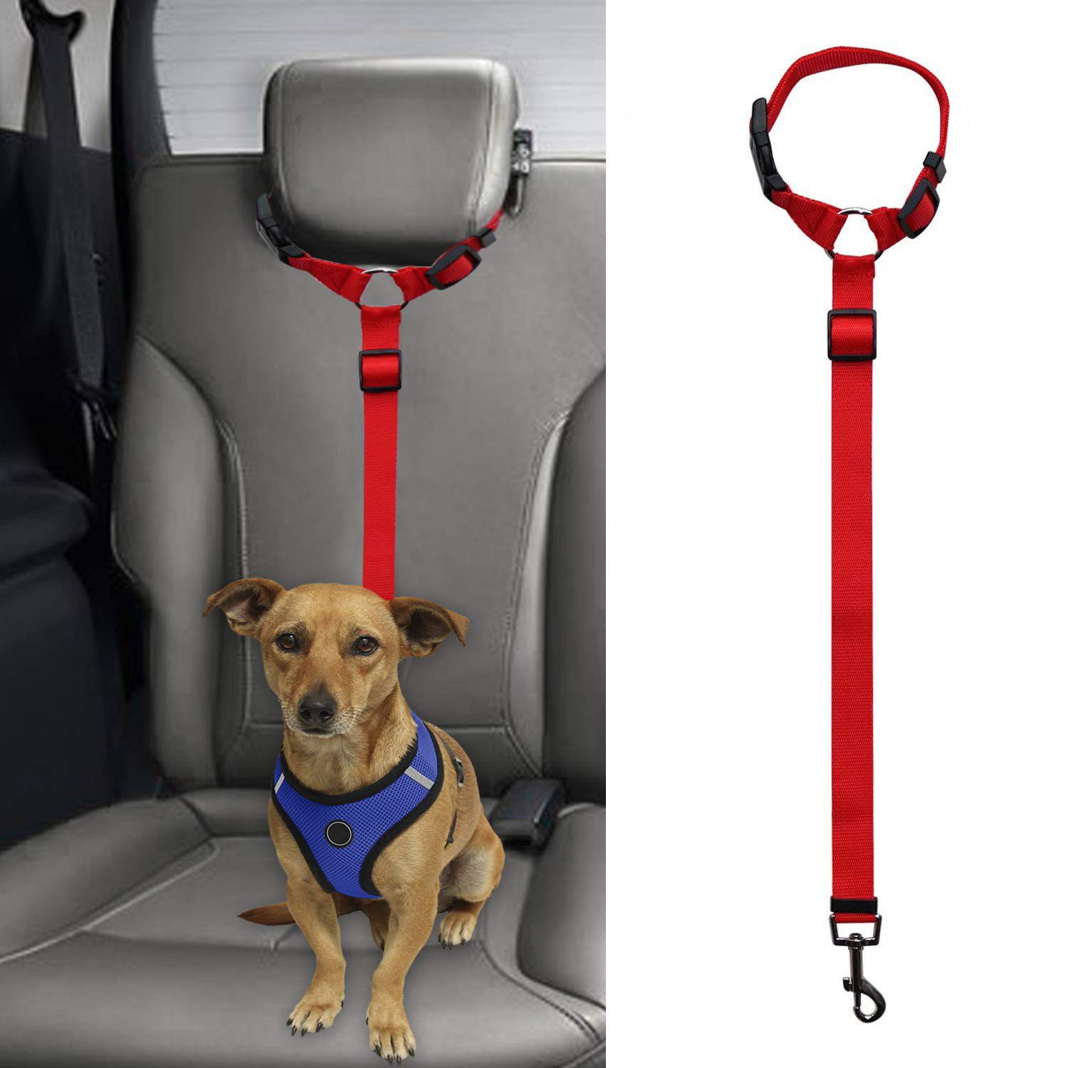 Dog Seatbelt Red