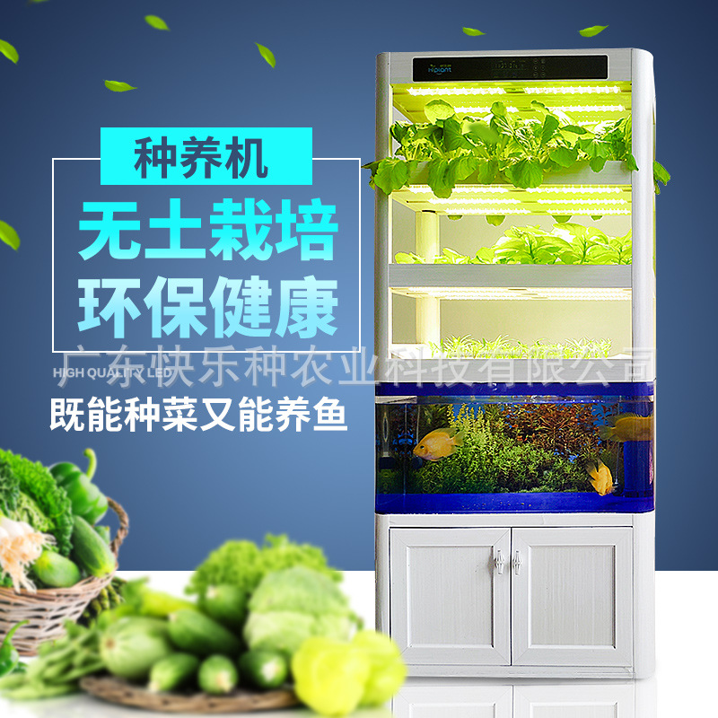 鱼菜共生无土栽培水族用品亚克力 鱼缸植物水培智能种菜机