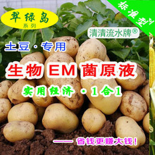 用翠綠島生物EM菌原液種土豆不用化肥種出自然綠色大個好吃的土豆