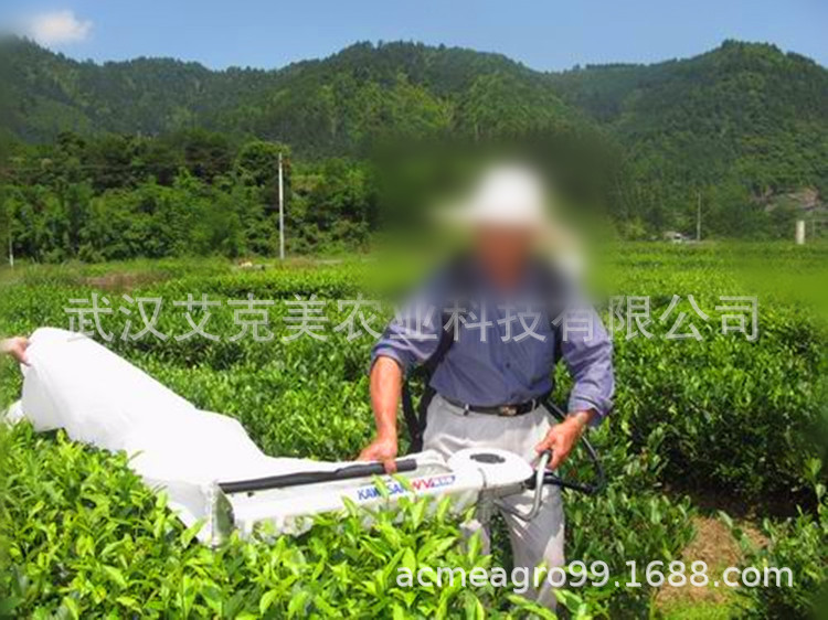 9007299774_901932020