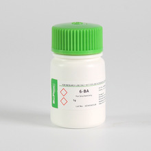 BioFroxx 2029GR001 6-苄氨基喋呤6-BA 1214-39-7 1g/瓶