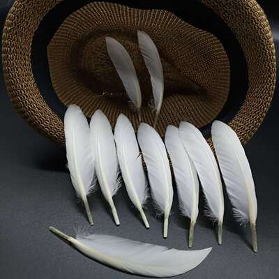 鸿扬羽毛厂家货源鹅毛DIY工艺羽毛饰品配件材料10-15cm鹅毛小弯刀|ms