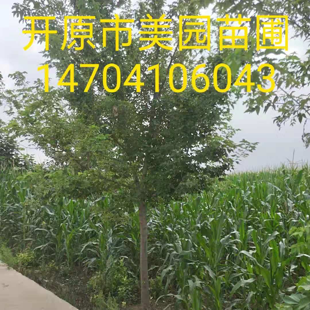 微信图片_20190923112357