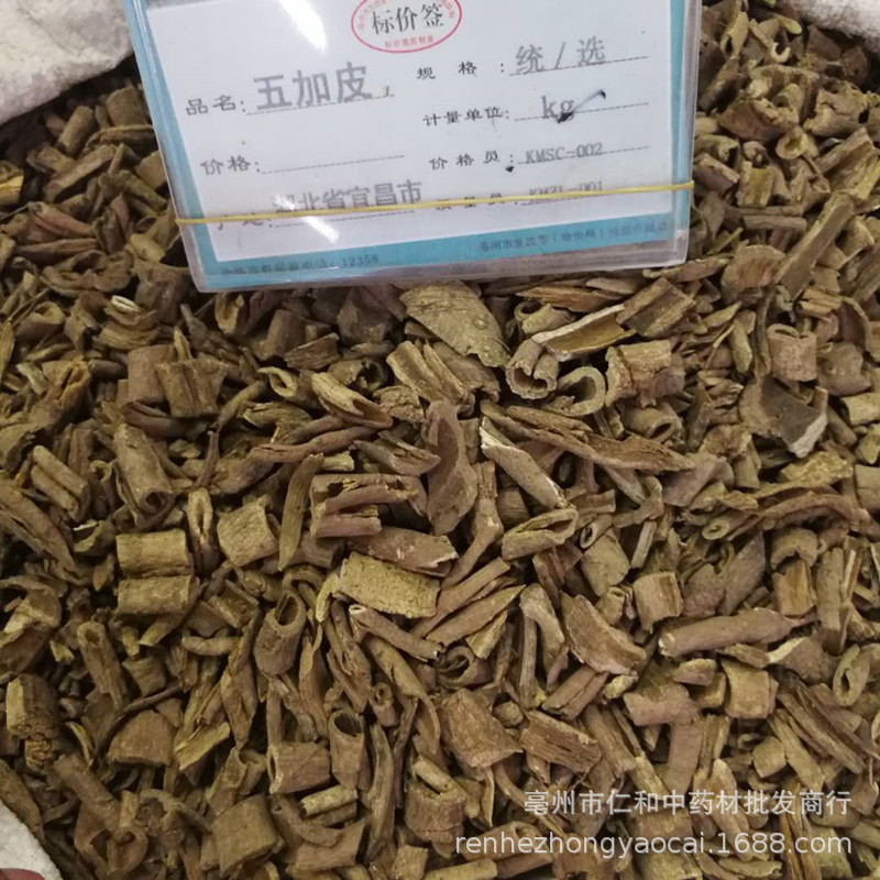 Wu Jia Pi Acanthopanax Bark Dried Herb for Decoction and Culinary Use 500g specifications
