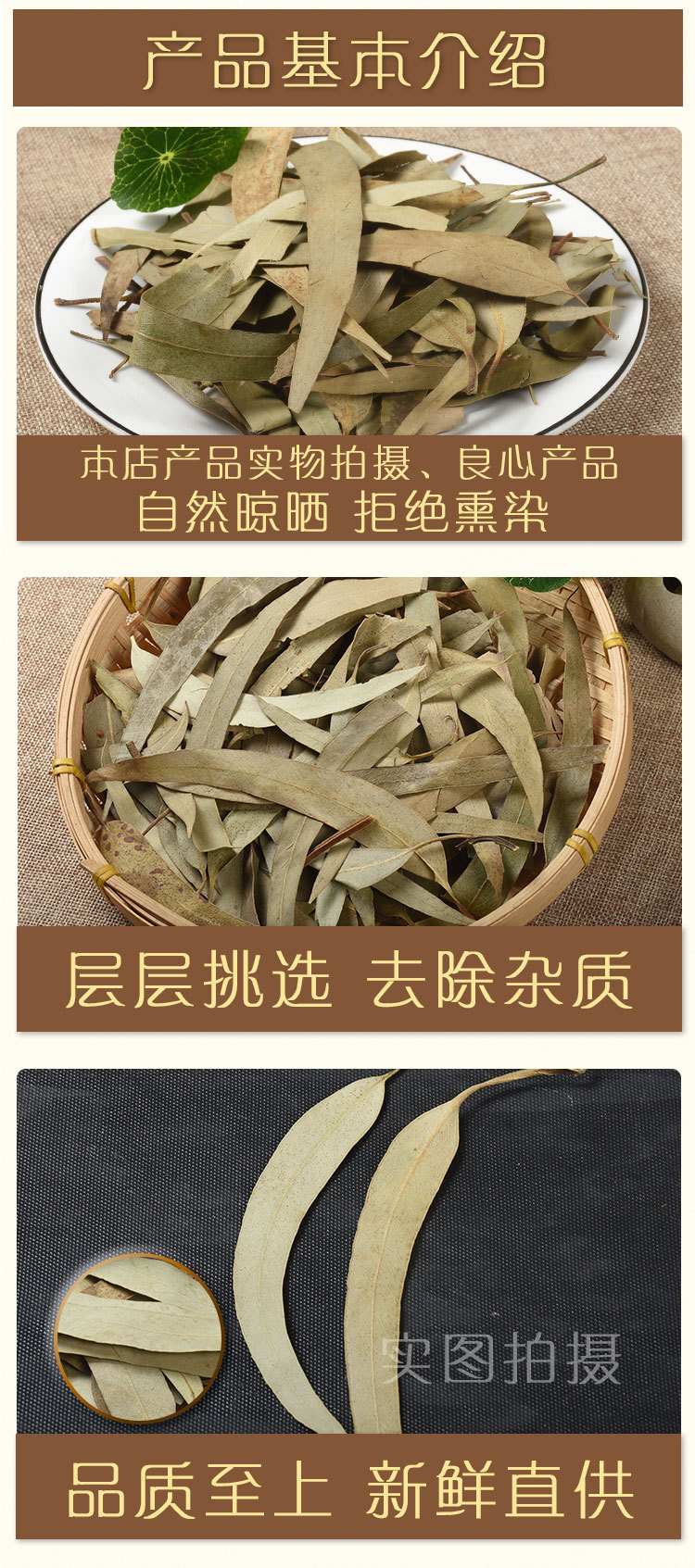 Eucalyptus Leaves (Eucalyptus globulus) — Dried Herbal Leaf for Tea & Steam key features